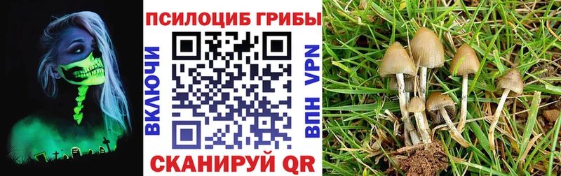 Псилоцибиновые грибы прущие грибы  Чусовой 