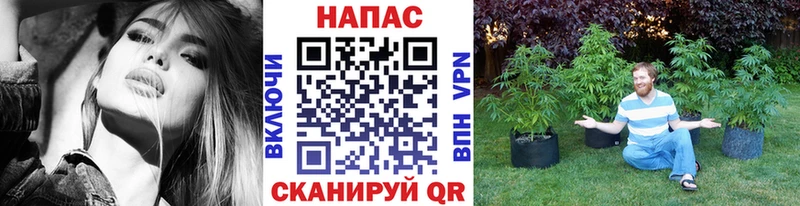 Марихуана сатива  сайты даркнета телеграм  Чусовой 